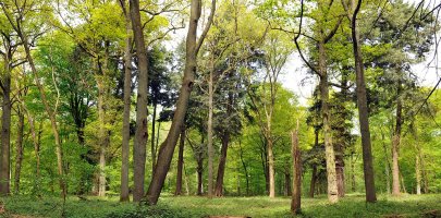 arboretum tervueren