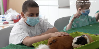 atelier de médiation animale